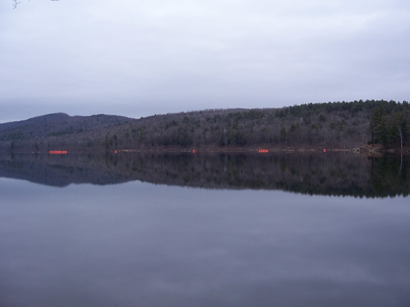 Click to view full-size image