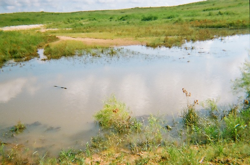 Click to view full-size image