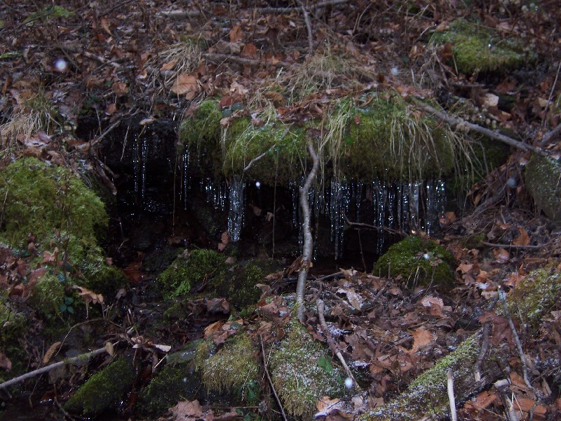 Click to view full-size image