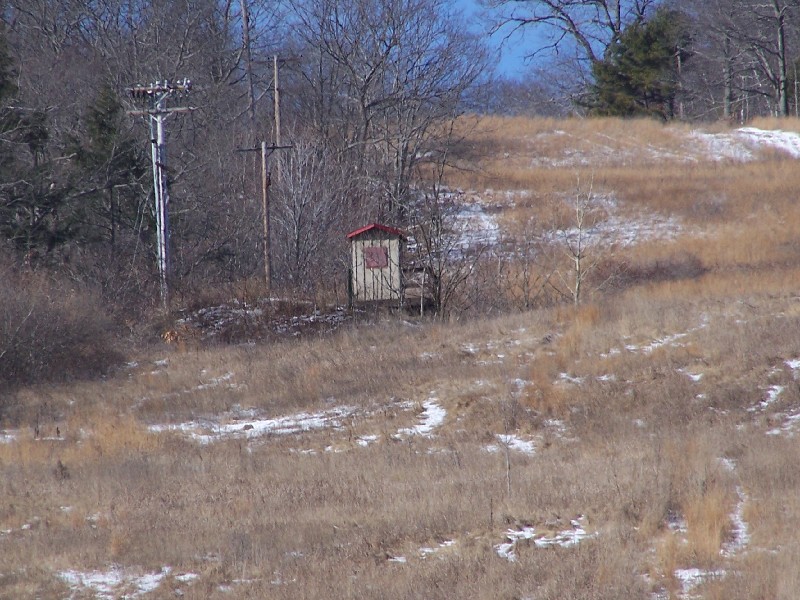 Click to view full-size image