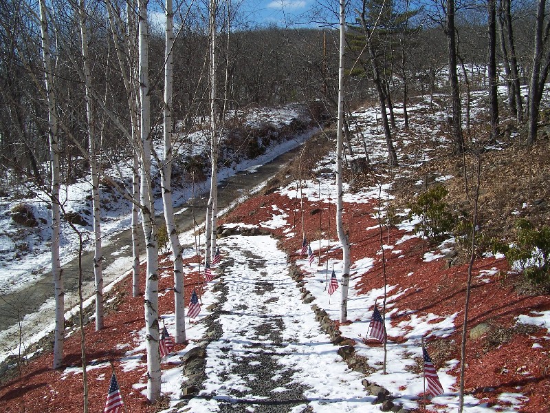 Click to view full-size image