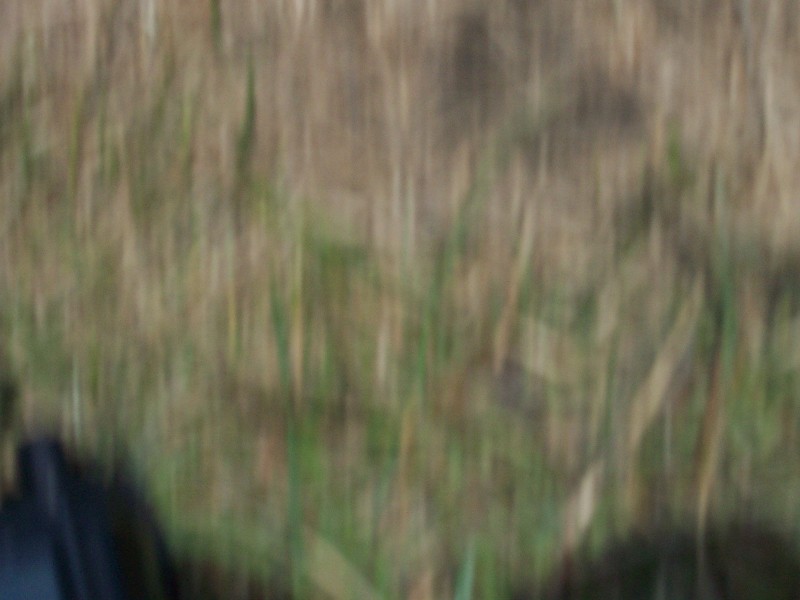 Click to view full-size image