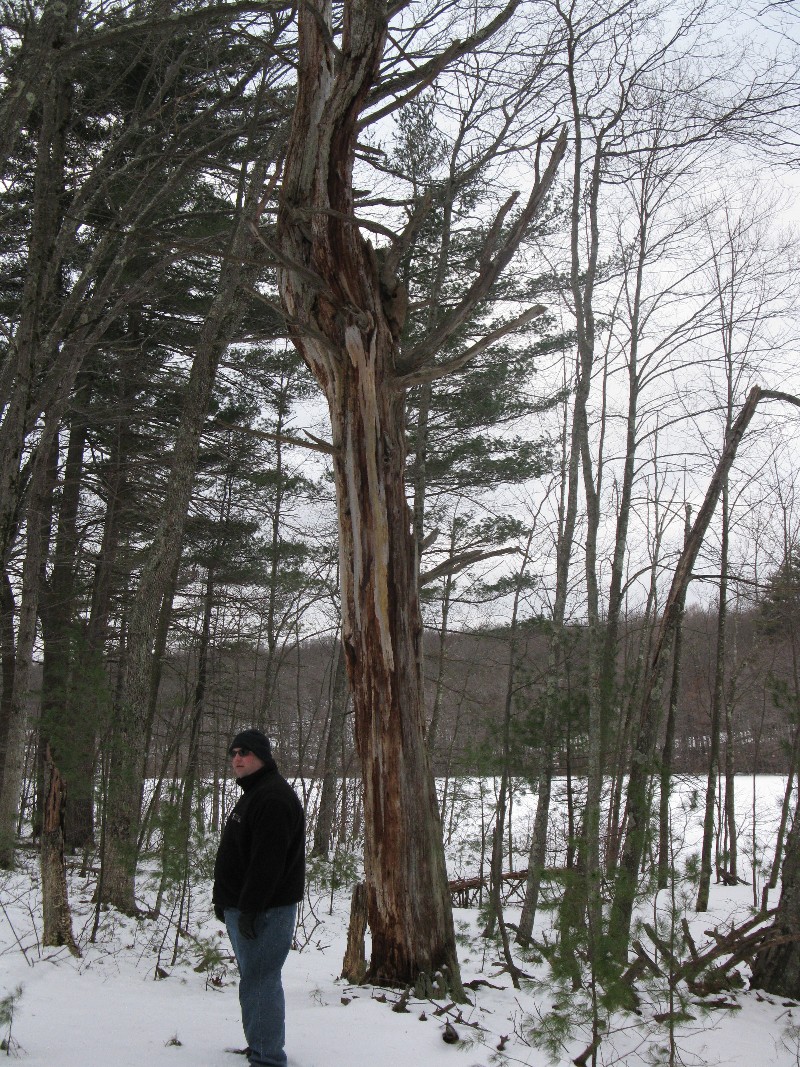 Click to view full-size image