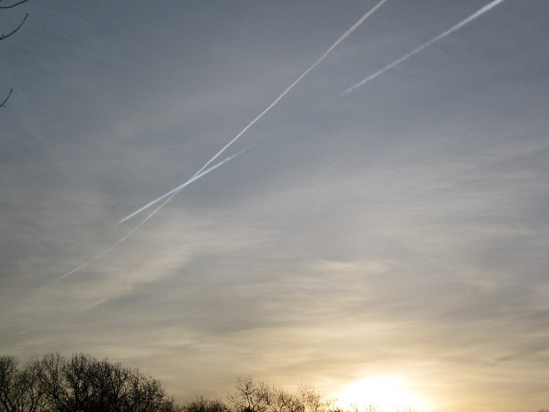 Click to view full-size image