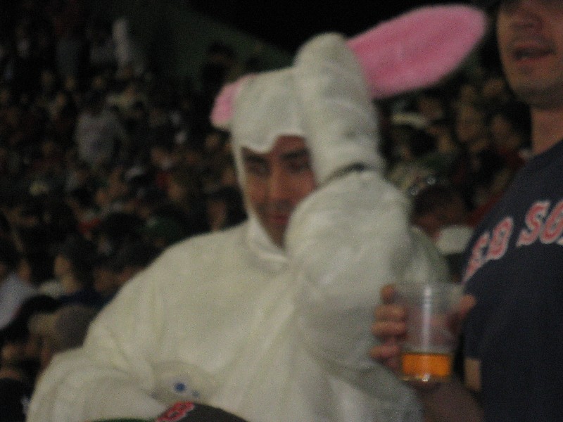 Click to view full-size image