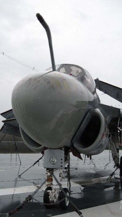 Click to view full-size image