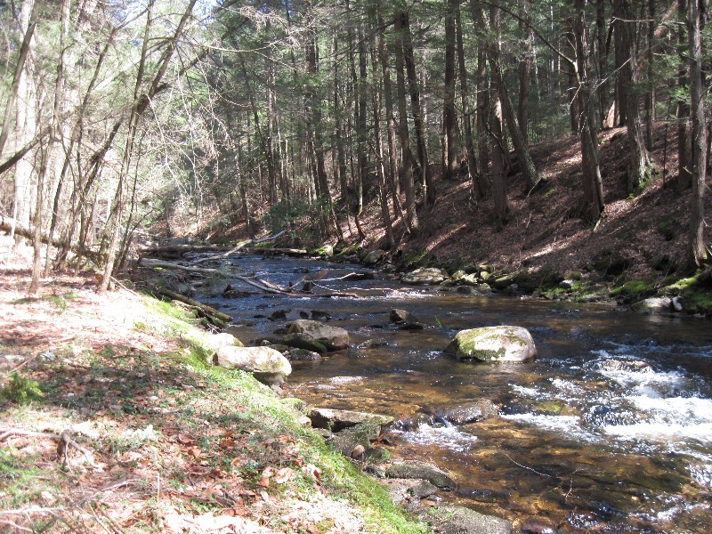 Click to view full-size image