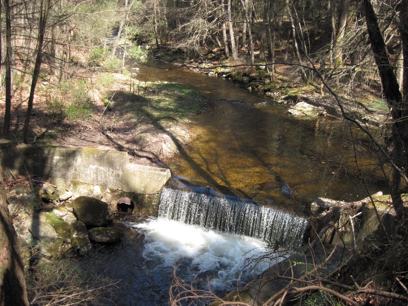 Click to view full-size image