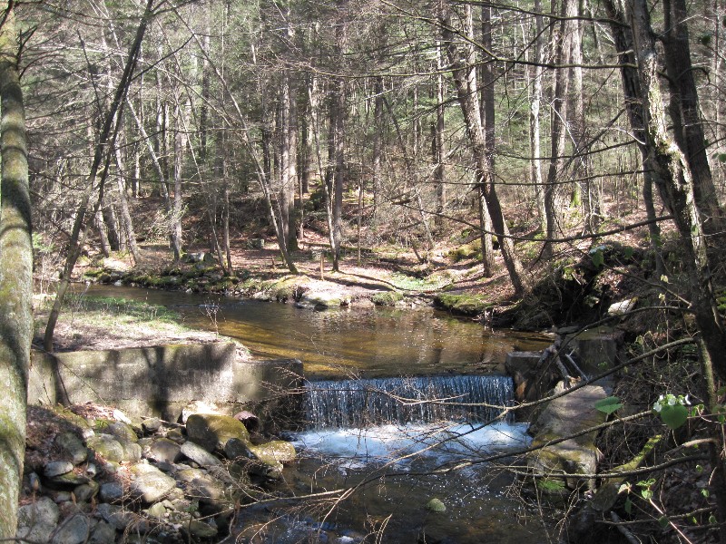 Click to view full-size image