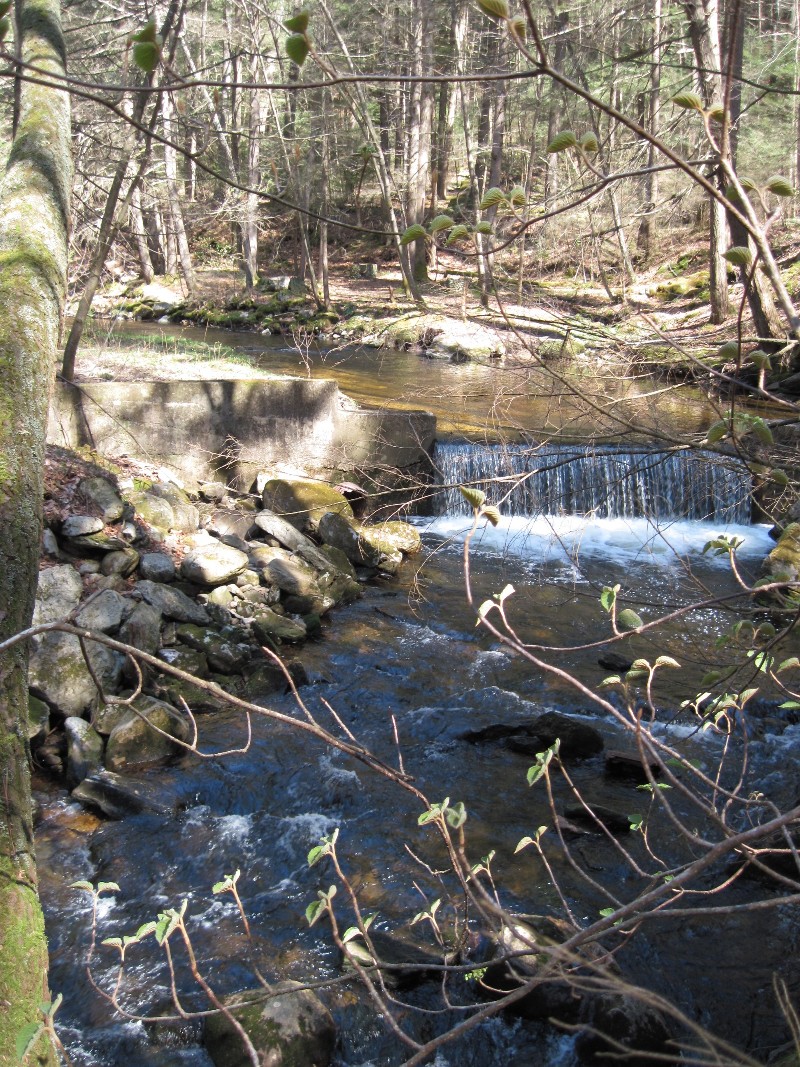 Click to view full-size image