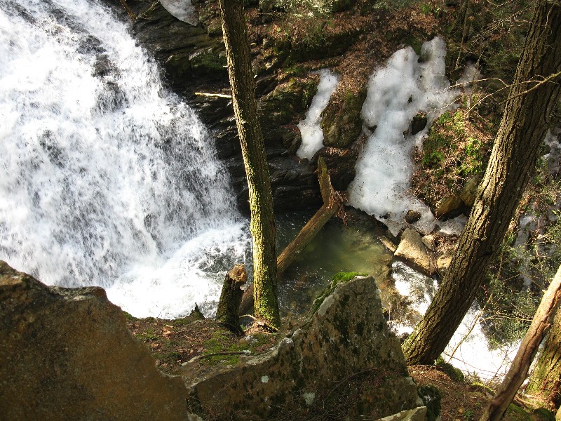 Click to view full-size image