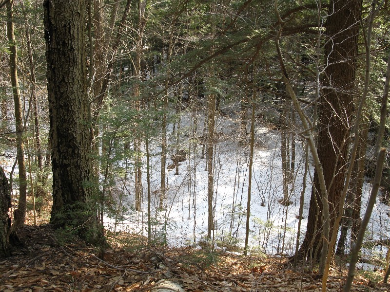 Click to view full-size image