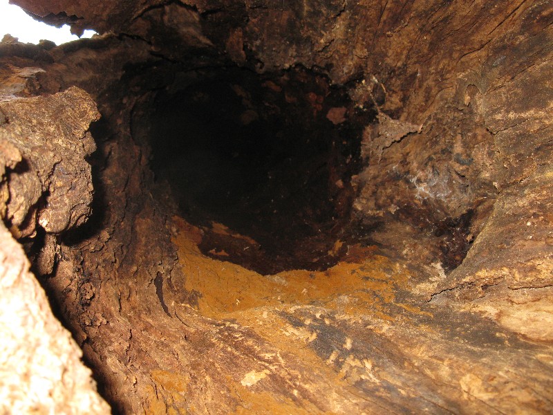 Click to view full-size image