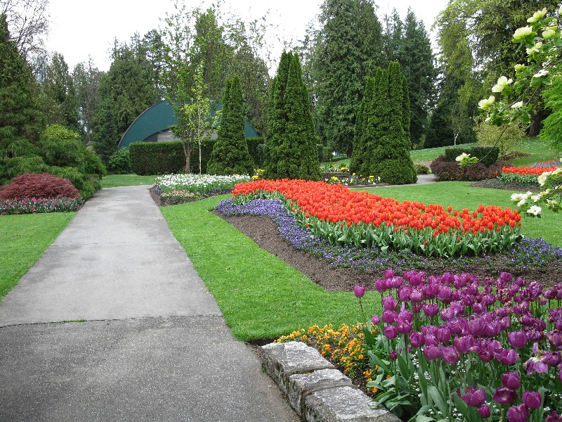 Click to view full-size image