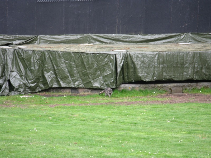 Click to view full-size image