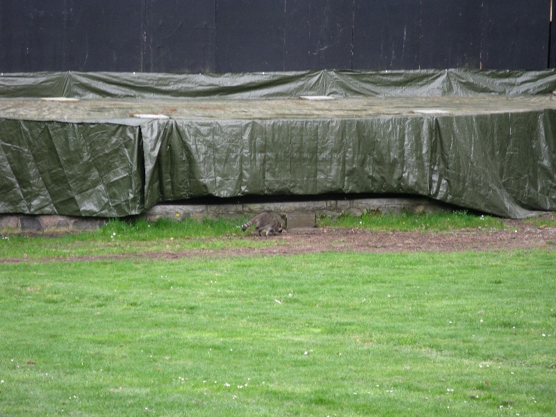 Click to view full-size image