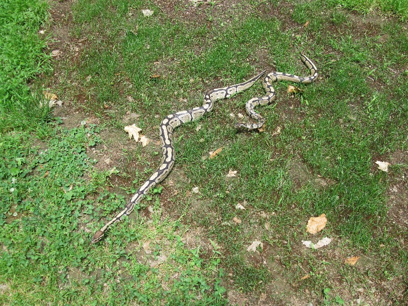 Click to view full-size image