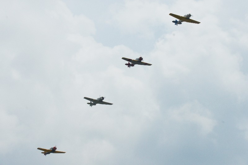 Click to view full-size image