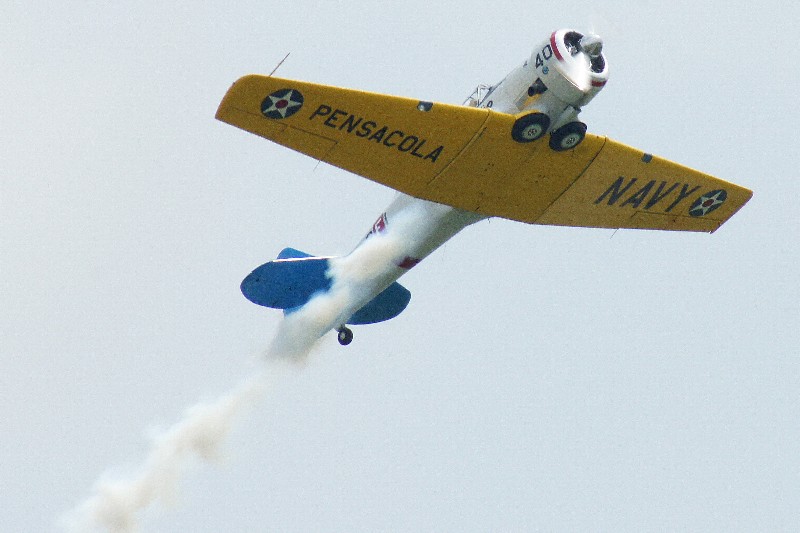 Click to view full-size image