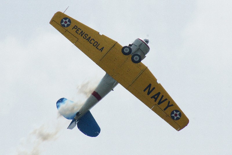 Click to view full-size image