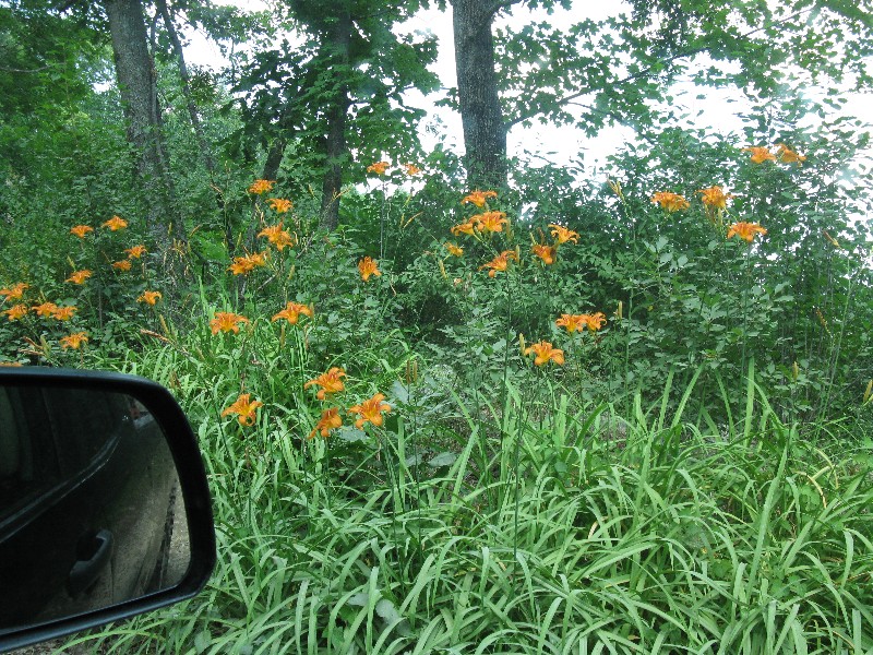 Click to view full-size image