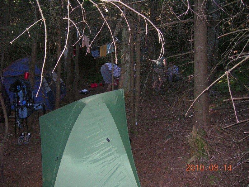 Click to view full-size image