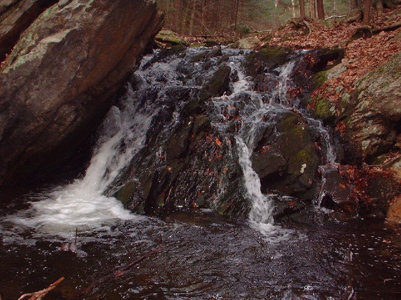 Click to view full-size image