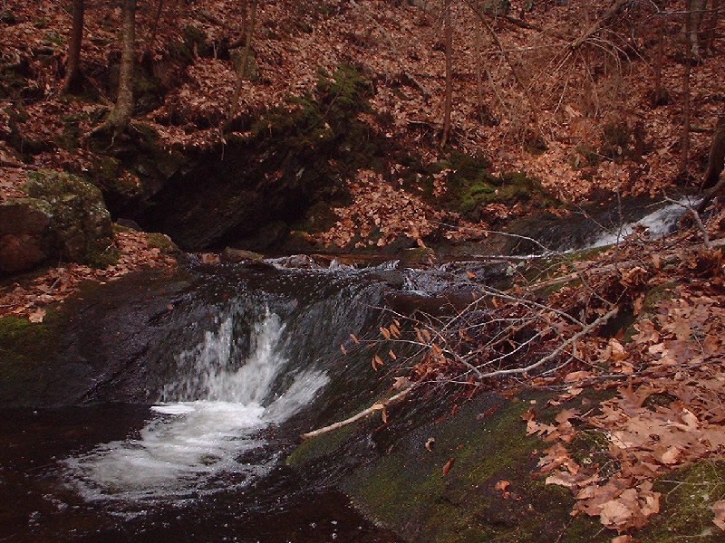 Click to view full-size image