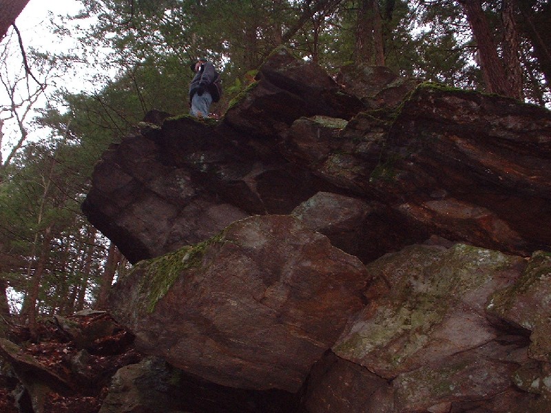 Click to view full-size image