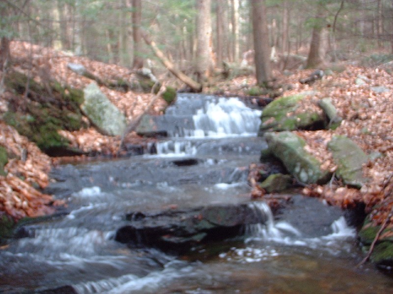 Click to view full-size image