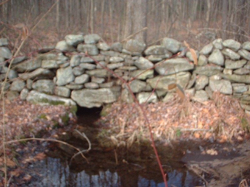 Click to view full-size image