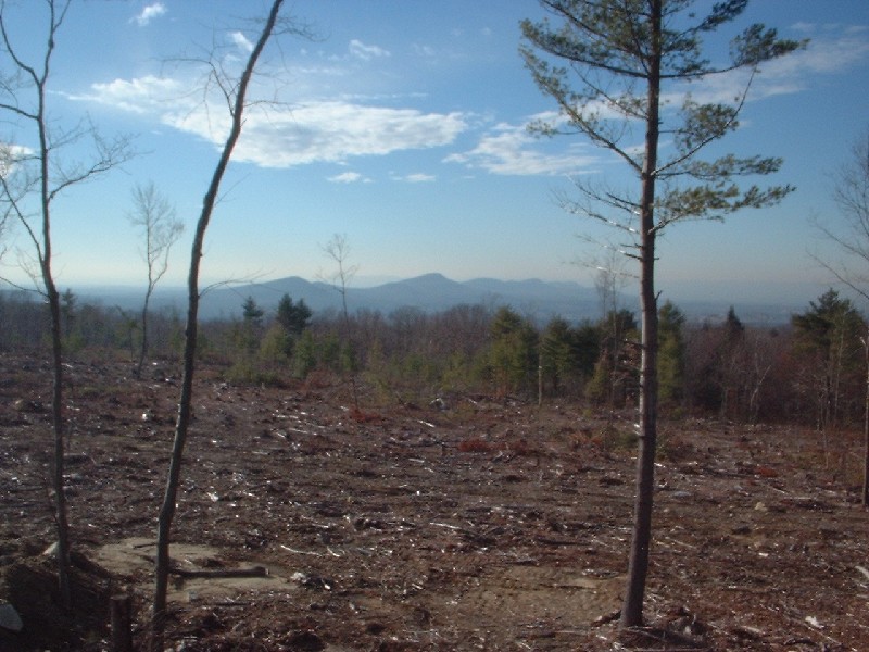 Click to view full-size image