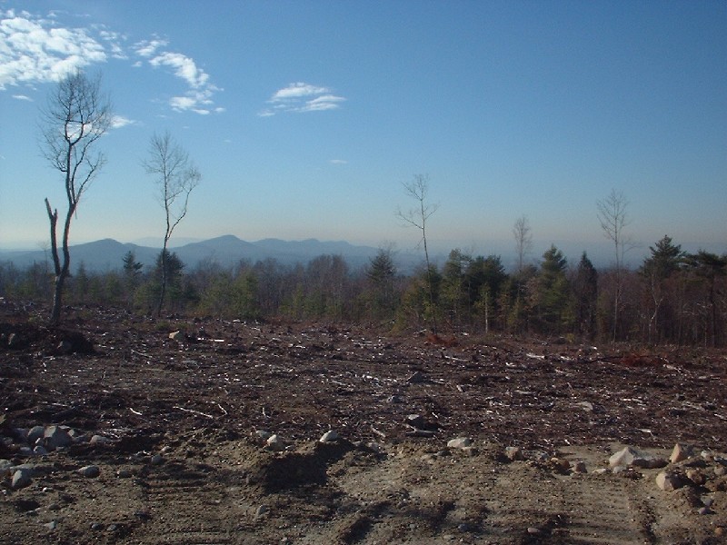 Click to view full-size image