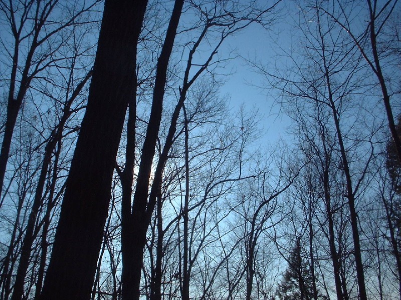 Click to view full-size image