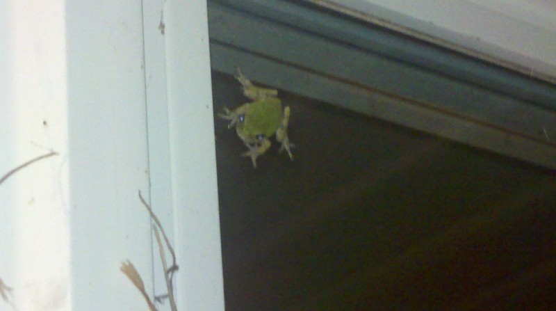 Click to view full-size image