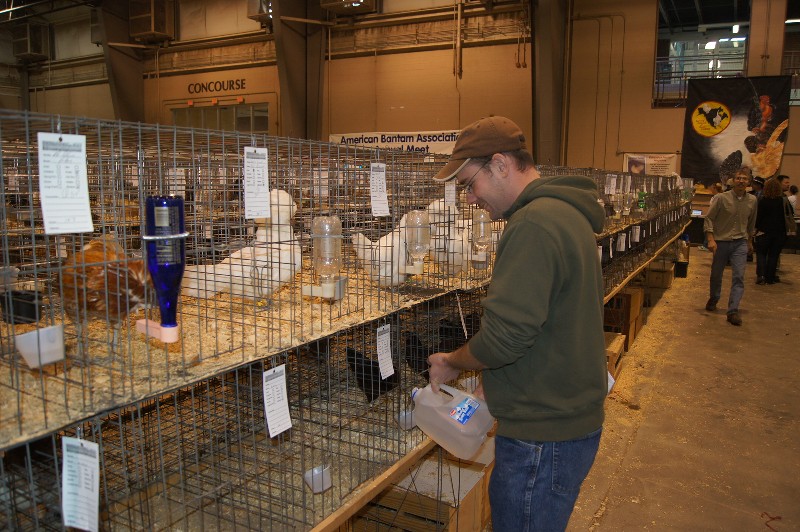 Click to view full-size image