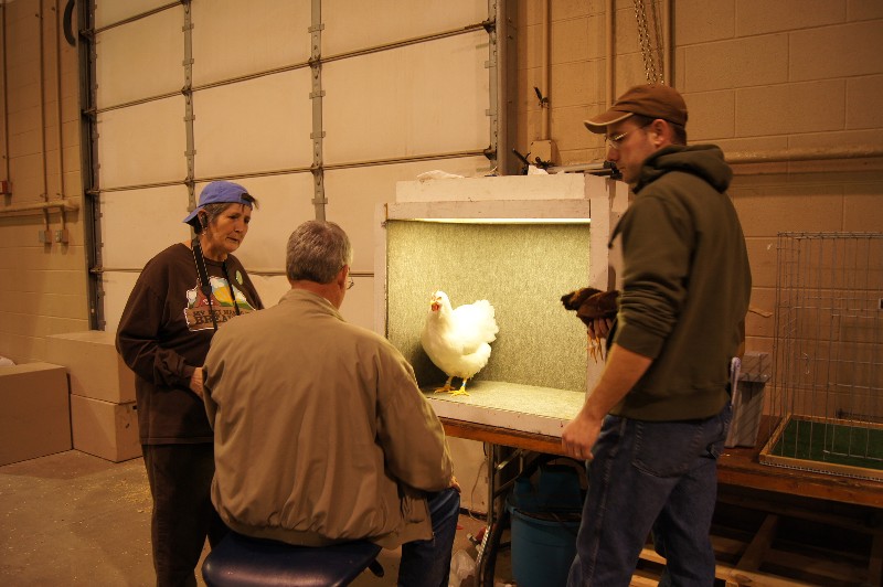 Click to view full-size image