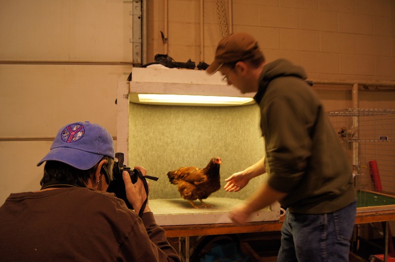 Click to view full-size image