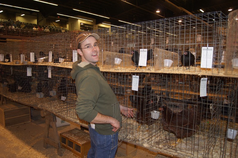 Click to view full-size image