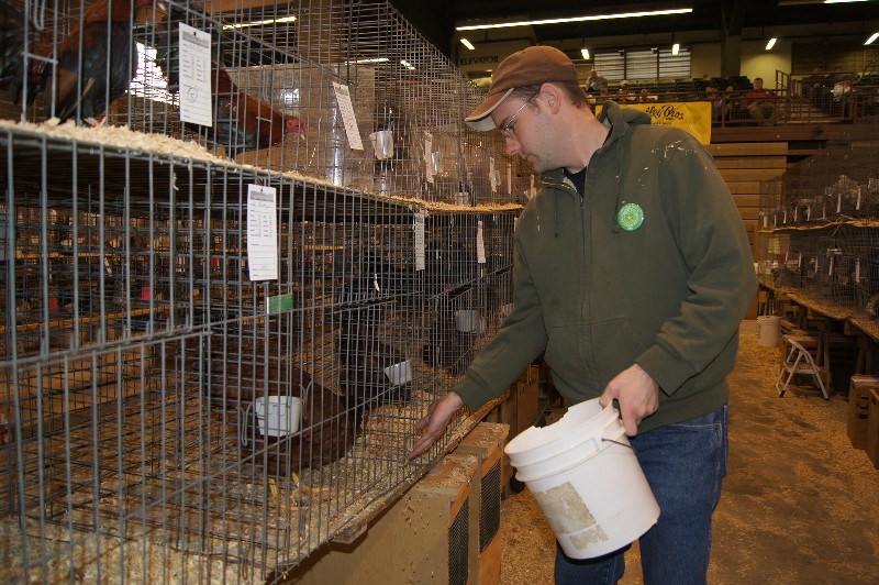 Click to view full-size image