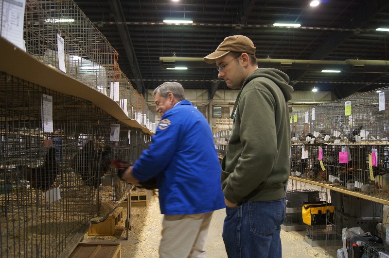 Click to view full-size image