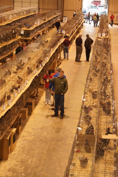 Click to view full-size image