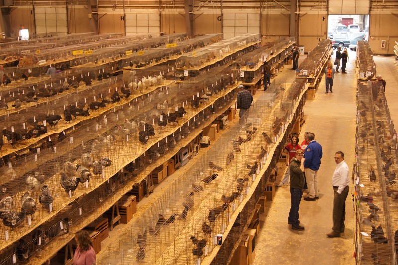 Click to view full-size image