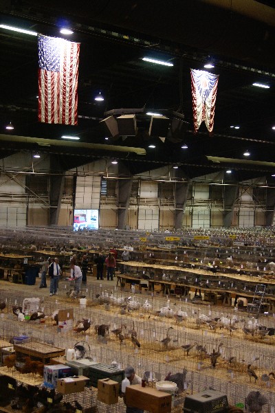 Click to view full-size image