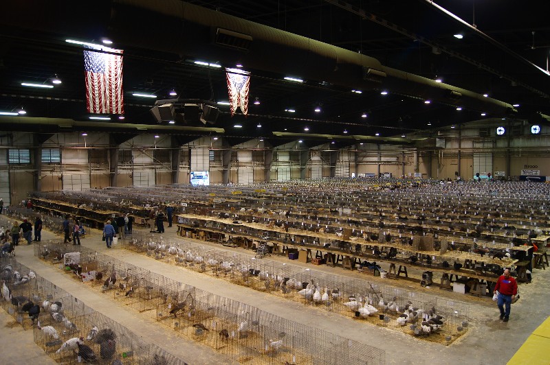 Click to view full-size image