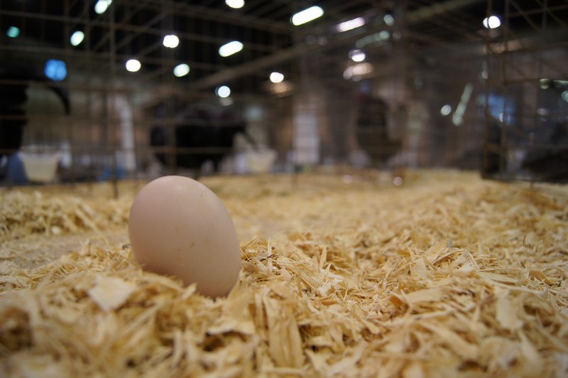 Click to view full-size image