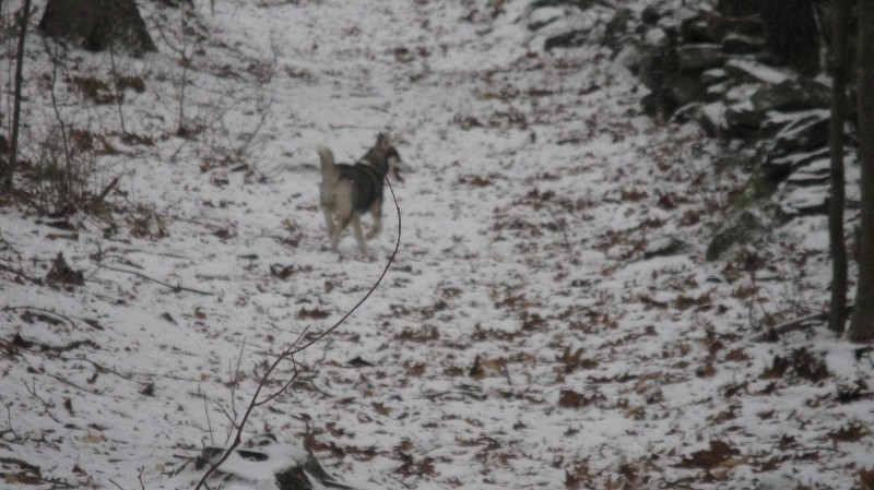 Click to view full-size image