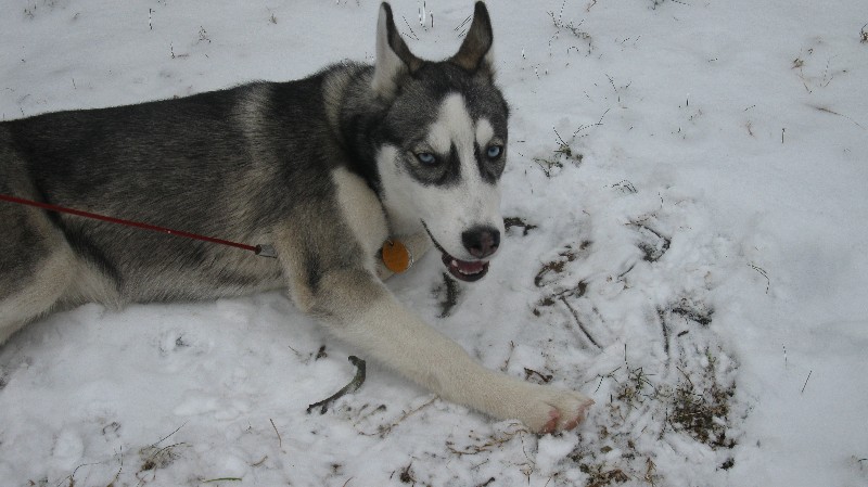 Click to view full-size image