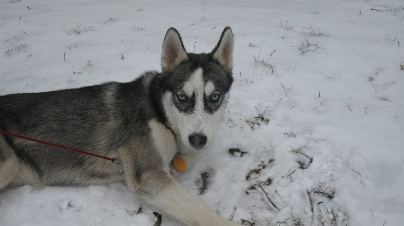 Click to view full-size image