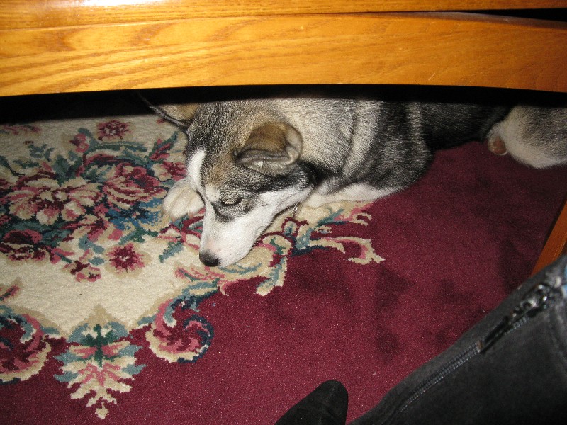 Click to view full-size image